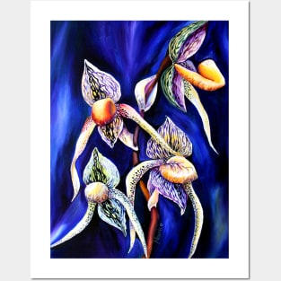 Watercolor Lady Slipper Botanical Illustration Posters and Art